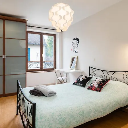 Triplex Atypique- Cour Interieure- Commerces A Pied *